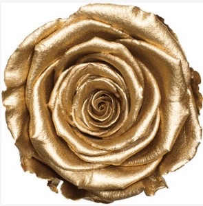 AR　ティエラ・トレス　3輪1102−99　ゴールド【薔薇】【バラ】【プリザーブドフラワー】