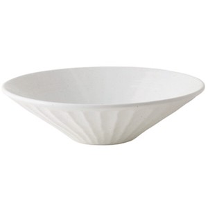 Mino ware Main Dish Bowl L size Made in Japan