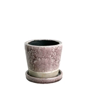 [DULTON] Color Grey's Pot PURPLE