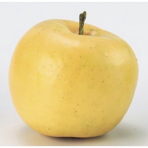 A−20381　アップル＃010　イエロ−【野菜】【くだもの】【林檎】【りんご】