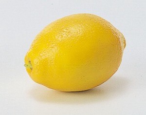 A−23022　レモン＃010L　イエロ−レモン【野菜】【くだもの】
