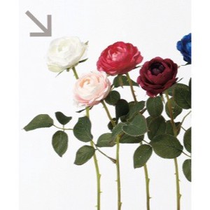 A−32369　ローズ＃001　ホワイト【薔薇】【ばら】【バラ】
