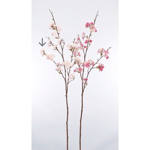 A−33561　桜×50　つぼみ＃003　ピンク