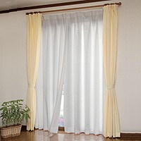 Lace Curtain 100