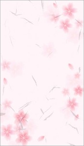 Envelope Cherry Blossoms Noshi-Envelope M