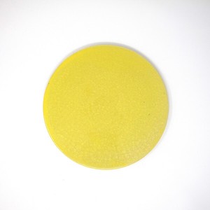 Shigaraki ware Main Plate Yellow 22cm