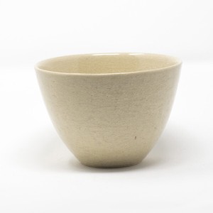 Shigaraki ware Donburi Bowl Clear