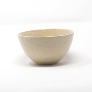 Shigaraki ware Rice Bowl Clear