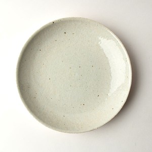 Shigaraki ware Main Plate Deep Plate 21cm