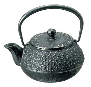 Nambu Ironware Tea Pot Kikko Pattern