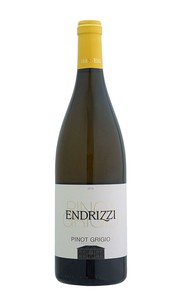 2023 エンドリッツィ トレンティｰノ ピノグリｰジョ　白・辛口【白ワイン】