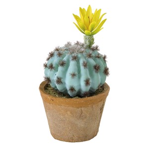 Spices Artificial Plants Flower Cactus Round Pot