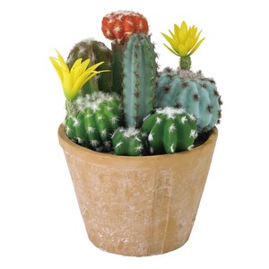 Spices Artificial Plants Flower Cactus Brought Round Pot Size M