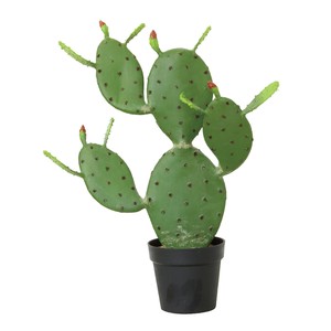 Spices Artificial Plants Cactus