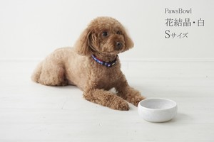Kyo/Kiyomizu ware Dog Bowl White bowl Size S
