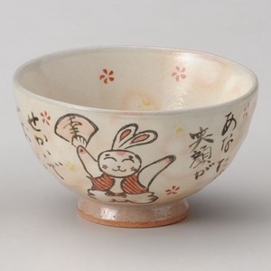 Mino ware Rice Bowl Pottery Made in Japan