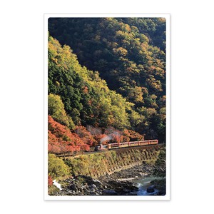 < 秋ポストカード >日本の絶景PC JPC-86 嵯峨野ﾄﾛｯｺ列車