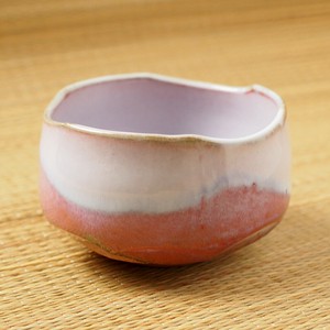 Mino ware Japanese Tea Cup Made in Japan