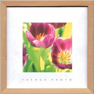 アートフレーム　フレンチフォトグラフィ French Photography Tulips