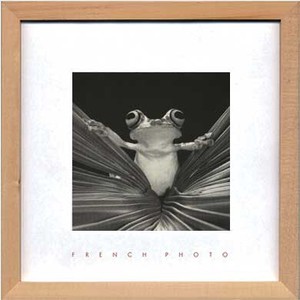 アートフレーム　フレンチフォトグラフィ French Photography Tree Frog Queen