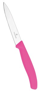 Victorinox Petty Knife 10cm