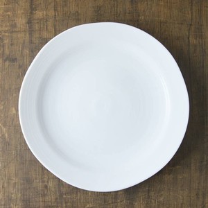 Mino ware Main Plate White 27cm Made in Japan