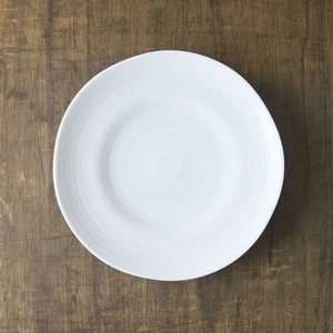 Mino ware Main Plate White 22.5cm Made in Japan