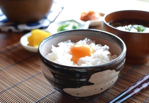 Mino ware Rice Bowl Rokube Made in Japan