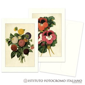 【イタリア製】ISTITUTO FOTOCROMO ITALIANO/I.F.I　グリーティングカードBOTANICA
