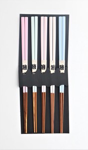 ☆オシャレな5色のカラー【新商品・定番】chopsticks 5set/5膳箸セット　パステルカラー細身