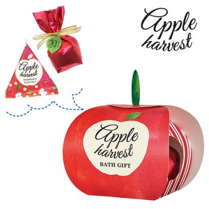 りんごの形のかわいいバスギフトセット【あまいリンゴの香り♪秋冬・クリスマスにもぴったり】