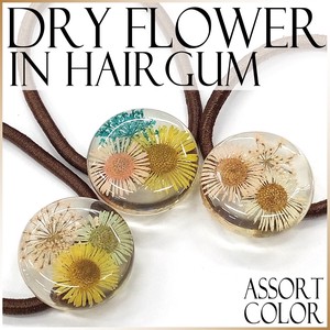 Hair Ties Assortment Dry flower Flowers Clear