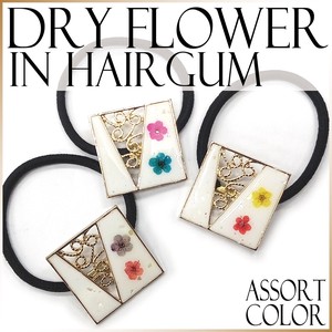 Hair Ties Dry flower Ladies'