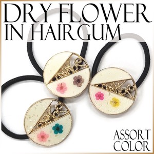 Hair Ties Assortment Dry flower Ladies'