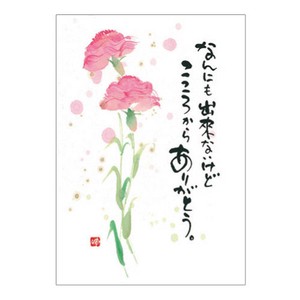 Postcard Carnation