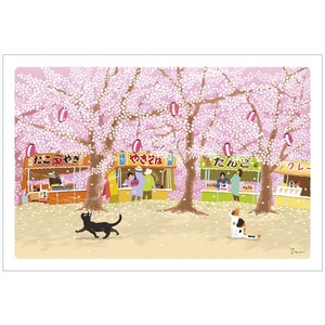 Postcard Cherry Blossoms Cat