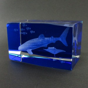 ＜インテリア雑貨＞ガラスオブジェ　3Dクリスタル ジンベエザメ XLサイズ No.120-653