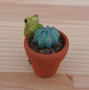 Cactus Frog