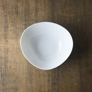 Mino ware Donburi Bowl Shell White M Western Tableware Made in Japan