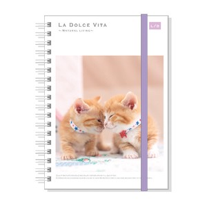 Photo Series Attached Hard Cover Ring Notebook