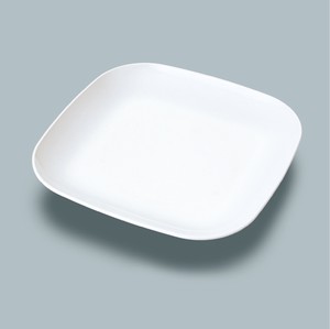 Divided Plate White