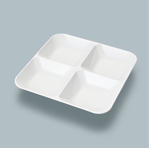 Divided Plate White