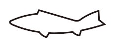 18−8　極小抜き型　鮎
