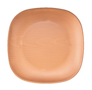 厨房用品 三聚氰胺 餐具 25cm 日本制造