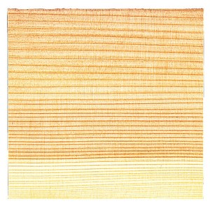 厨房用品 100张 日本制造