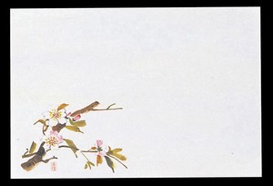 四季紙　千寿（100枚入）M30−205　桜