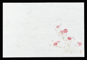 四季紙　千寿（100枚入）M30−212　秋桜