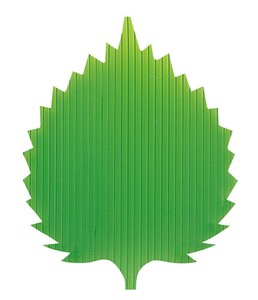 厨房用品 500张 日本制造