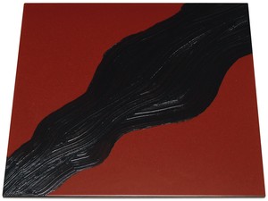厨房用品 300 x 300 x 12mm 日本制造