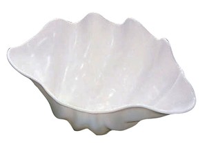 シャコ貝　ホワイト　プラスチック